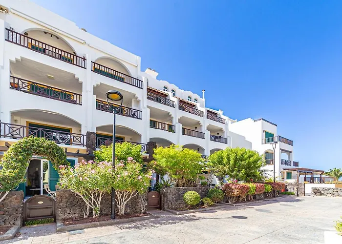 La Dorada En Rocas Del Mar