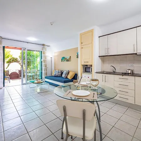 La Dorada En Rocas Del Mar *