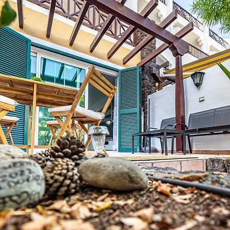 La Dorada En Rocas Del Mar