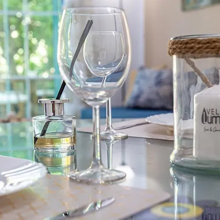 La Dorada En Rocas Del Mar *