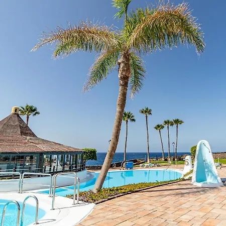 La Dorada En Rocas Del Mar